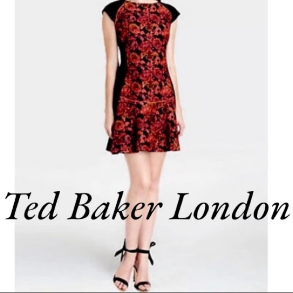Ted Baker Bonny Jacquard Elegant Red and pink  Floral Dress women’s size 2